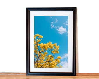 Spring print, Flower print, Plant photography, Tree Art, Plant print, Yellow flower, Colorful print, Nature Photography, Wall decor