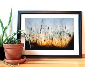 Sunset print, Sunset Photography, Photography Print, British Columbia, Vancouver, Wheat sunset, Nature Photography, Wheat field print