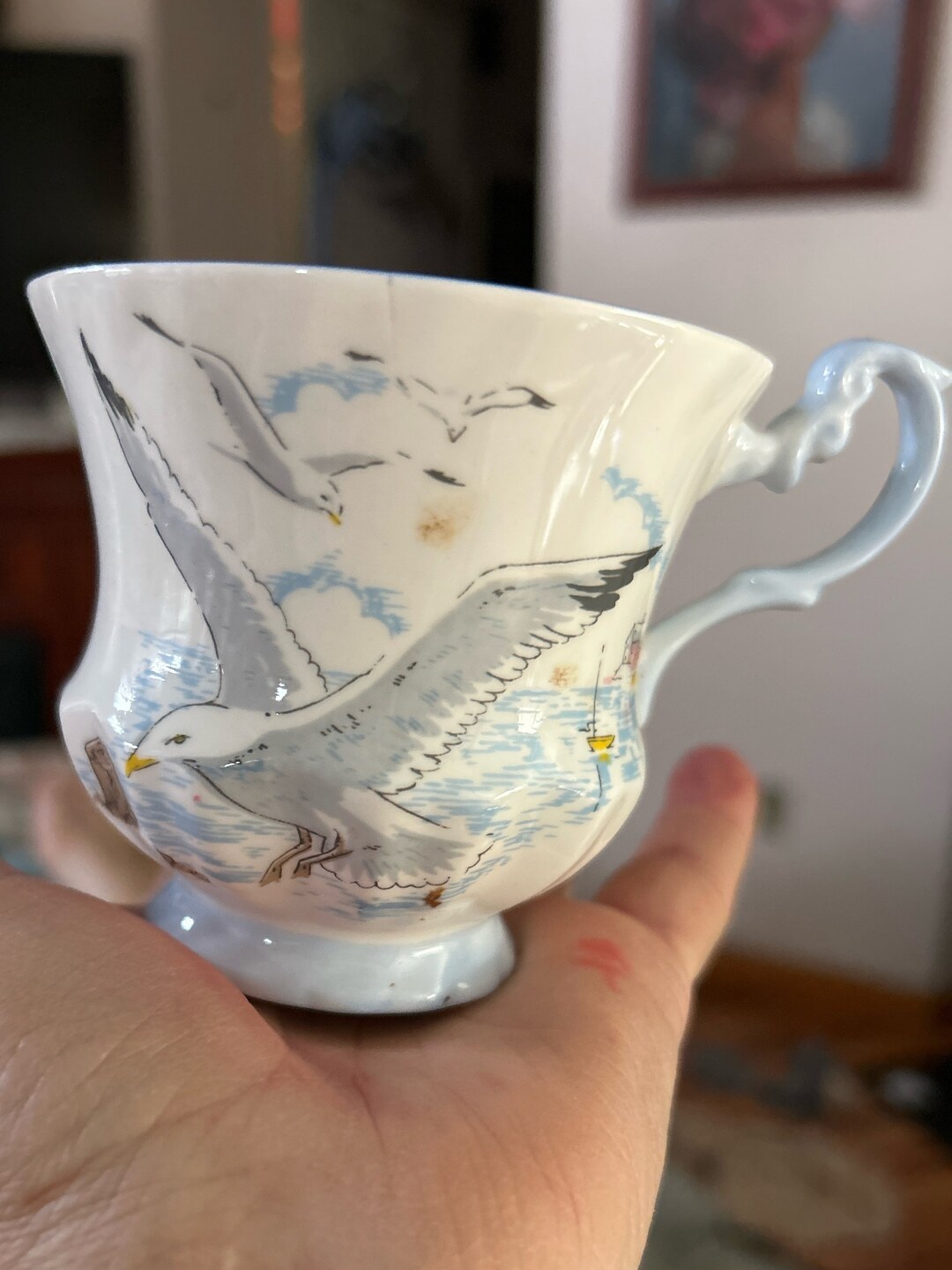 Vintage Queen's Rosina Fine Bone China Seagull Tea Cup, Beautiful
