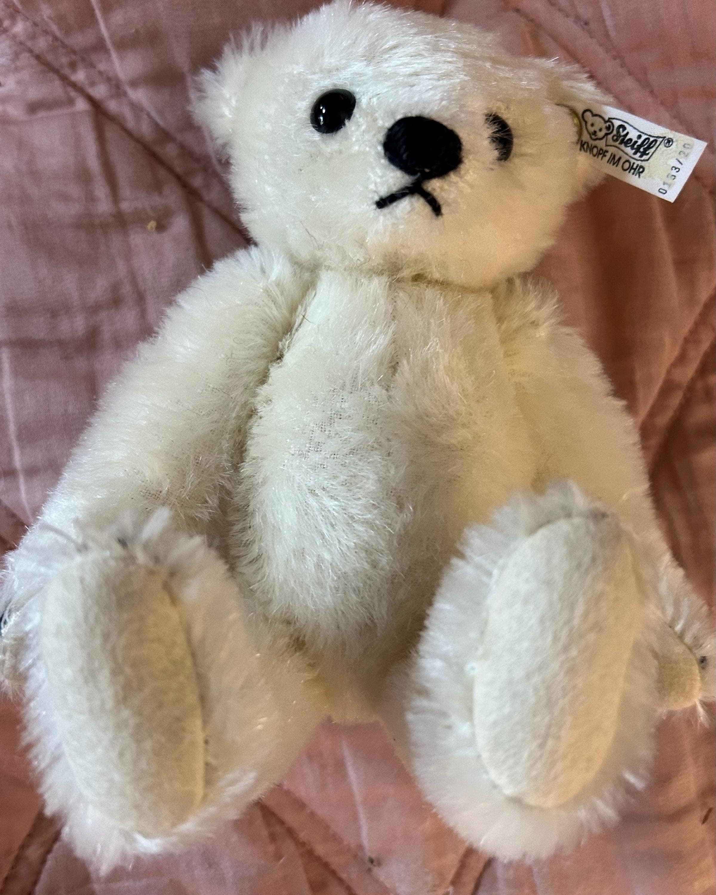 White Steiff Bear - Etsy