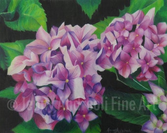 Purple Hydrangea Print | Colored Pencil Painting | PRINT | Nature Art