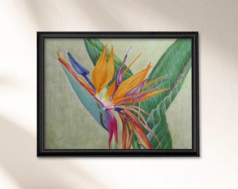 Bird of Paradise Poster Print, Tropical Botanical Wall Art, Coastal Decor, Tropical Flower Artwork, Botanical Home Decor