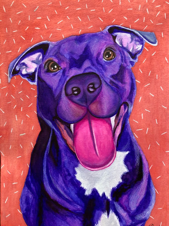 Custom Pet Portrait Of Your Pet Colorful Pet Portrait With Etsy