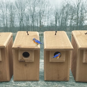 4 Handmade Cedar Bluebird Bird House Nesting Boxes Easy to Open and Clean