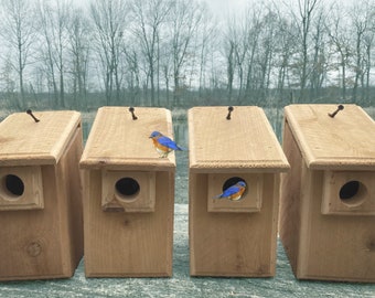 4 Cedar Bluebird Bird House Nesting Boxes Easy to Open and Clean