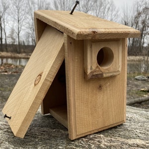 Pu&ograve; includere: Una casetta per uccelli in legno con un tetto apribile a cerniera. La casetta per uccelli &egrave; realizzata in legno naturale e ha un piccolo foro di ingresso rotondo. La casetta per uccelli &egrave; appoggiata su una roccia.