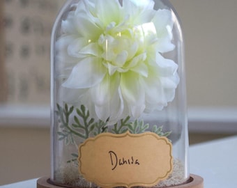 Dahlia Flower Cloche Terrarium | Dahlia Arrangement