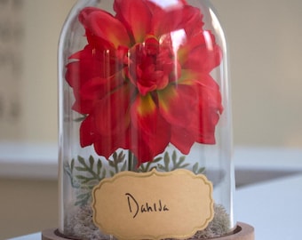 Dahlia Flower Cloche Terrarium | Dahlia Decor