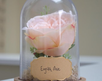 English Rose Flower Cloche Terrarium | June Birth Month Flower
