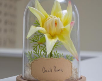 Orchid-Dahlia Flower Cloche Terrarium | Dahlia Gift