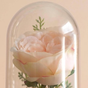 English Rose Flower Cloche Terrarium