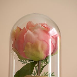 Pink Peony flower in a decorative cloche.