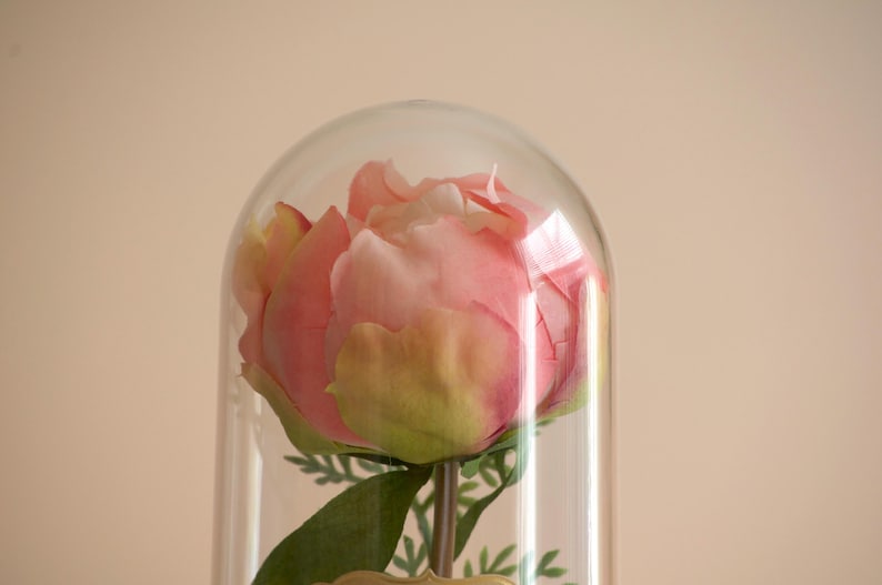 Pink Peony flower in a decorative cloche.