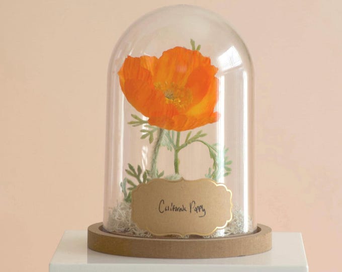 California Poppy Cloche Terrarium, Lifelike Faux Floral Decor, Nature Lover Gift