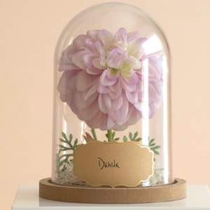 Terrario a campana con fiori di dalia