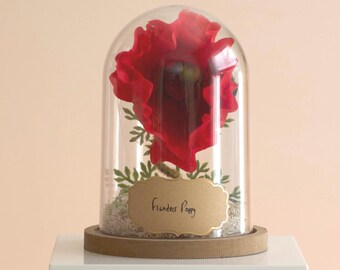 Flanders Poppy Flower Cloche Terrarium | August Birth Month Flower