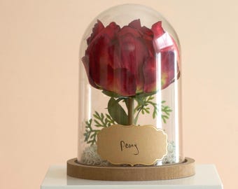 Peony Flower Cloche Terrarium | Eternal Peony Gift