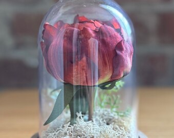 Peony Flower Terrarium