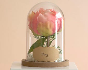 Peony Flower Cloche Terrarium, Lifelike Faux Botanical Centerpiece, Everlasting Romantic Dome