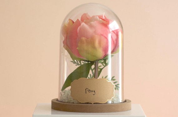 Peony Flower Cloche Terrarium | Peony Gifts for Celebrations