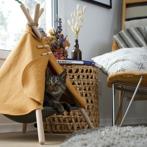 Cat top adventure tent