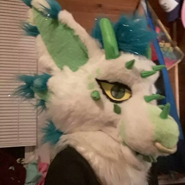 Dragon fursuit head.