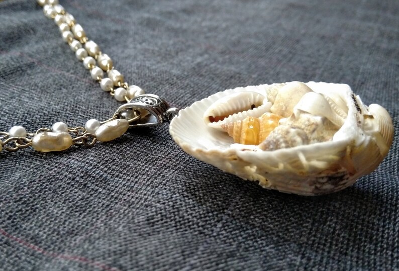 Seashells Within a Seashell Pendant With Faux Pearl Link Chain - Etsy