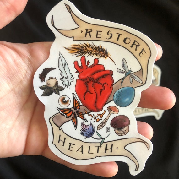 Potion To Restore Health Skyrim Skyrim Potions Ingredients Etsy