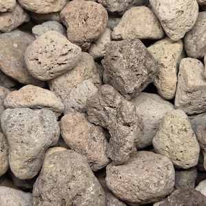 May include: A collection of porous volcanic pumice stones in various shades of gray, beige, and light brown. Each stone features a rough, uneven texture with numerous small holes and crevices, creating a natural, jagged, and irregular appearance.