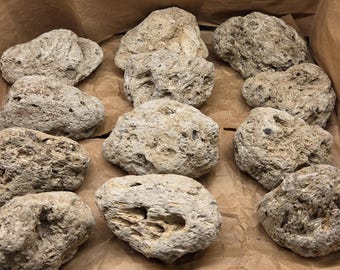 Pumice Stone - 4 assorted pieces