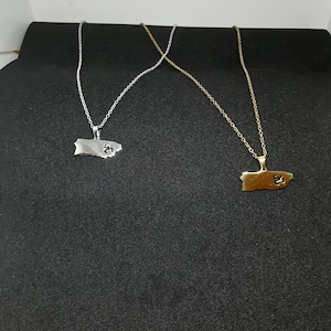 Coqui taino roestvrijstalen ketting op Isla de Puerto Rico