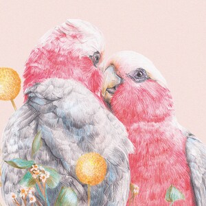 Galah Greeting Card, Pink Bird Love Blank Card with Envelope, Wedding Card, Valentine's Day Card Anniversary Gift, Australian Botanical Card image 9