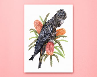 Red-Tailed Black Cockatoo Floral Art Print, Australian Parrot Bird Poster, Endangered Animal Wall Artwork, Banksia Flowers