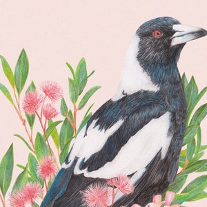 Australian Magpie Floral Greeting Card, Botanical Birds Blank Card, Wedding, Bird Lover Birthday Gift, Australiana Animals image 9