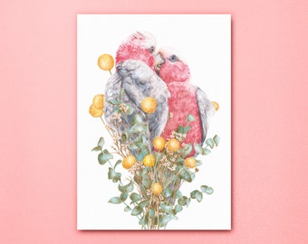 Galah Love Floral Art Print, Australian Bird Poster, Pink Cockatoo Portrait, Decor Wall Art, Botanical Native Flowers, Australiana Animal