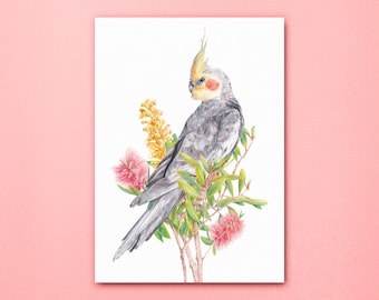 Cockatiel Floral Art Print, Australian Pet Bird Poster, Parrot Wall Artwork, Grevillea Bottlebrush Botanical Flowers, Australiana Cockatoo