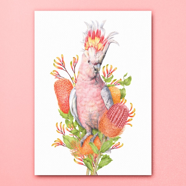 Pink Cockatoo Floral Art Print, Botanical Bird Poster, Australiana Decor Wall Art, Parrots of Australia, Major Mitchell's Cockatoo