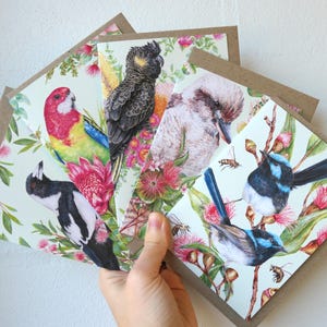 Australian Birds Set of 5 Greeting Cards | Black Cockatoo, Superb Fairy-wren, Kookaburra, Magpie, Parrot | Pack of All Occasion Blank Cards