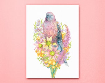 Bourke Parrot Art Print - Common Pet Bird for Bird Lovers - Wall Decor of Pink Parrot from the Australian Outback