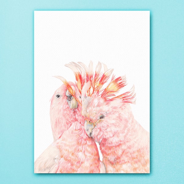 Pink Cockatoo Art Print, Australian Major Mitchell's Cockatoo Love Wall Artwork, Pink Australian Birds Poster, Animal Couple Bird Portrait