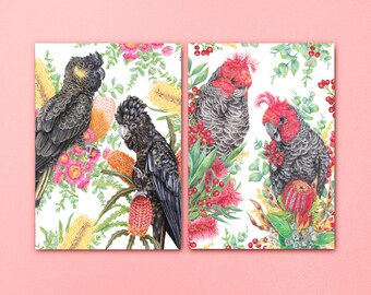 Set of 2 Art Prints of Australian Birds - Gang-gang Cockatoos and Black Cockatoos - Botanical Flower Wall Decor for Bird Lovers