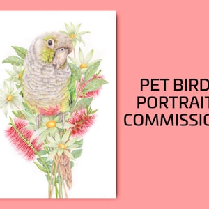 Custom Pet Bird Portrait, Hand Drawn Original Parrot Illustration, Handmade Unique Personalised Gift for Bird Lover, Floral Pet Memorial