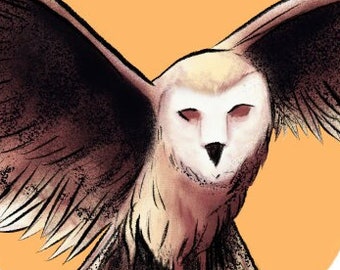 Ilustración impresa de una lechuza común, dibujo artístico de aves.