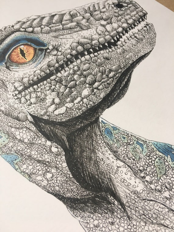 Blue The Velociraptor Print From Jurassic World Fallen Kingdom Etsy