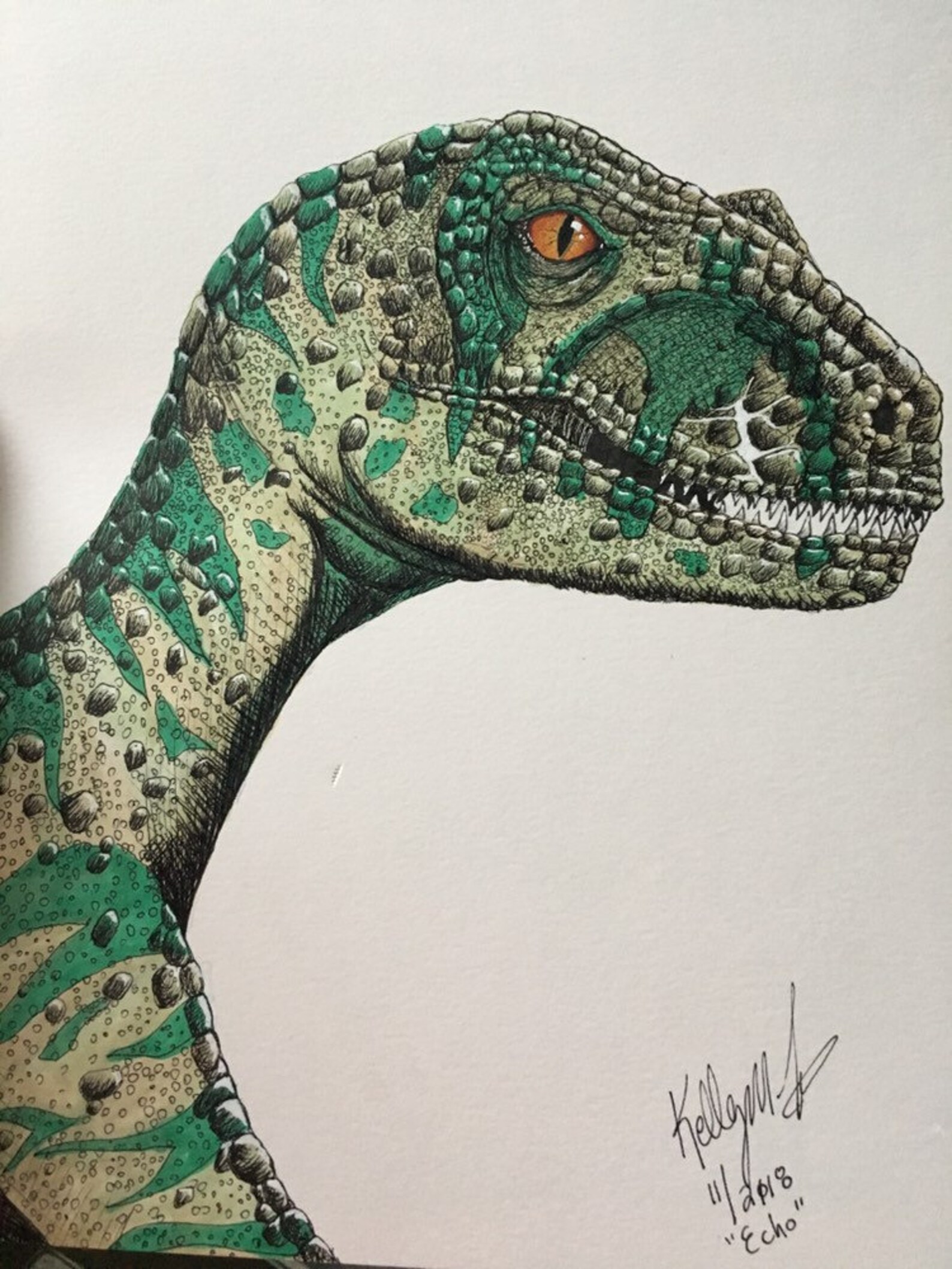 echo the velociraptor