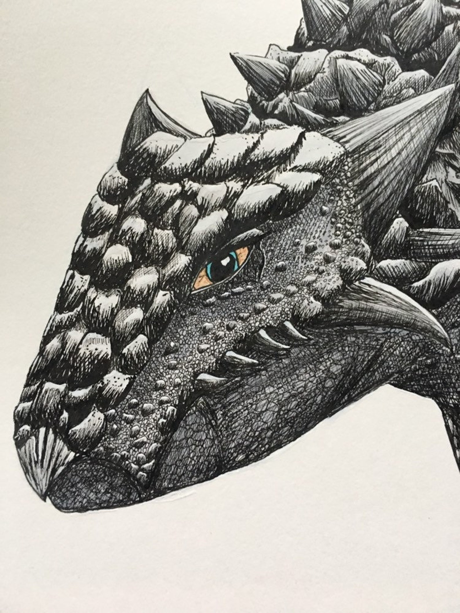 Ankylosaurus ORIGINAL ART detailed illustration monochrome Etsy