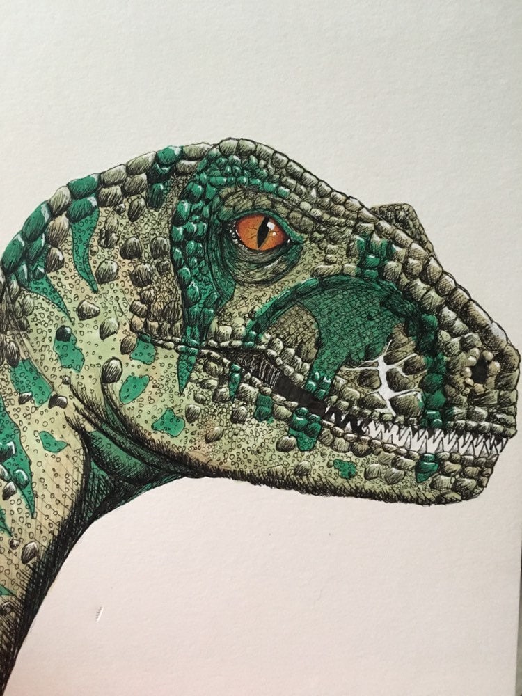 Velociraptor Echo Illustration Drawing From Jurassic World Etsy