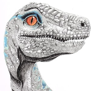 blue the velociraptor print from jurassic world fallen kingdom etsy