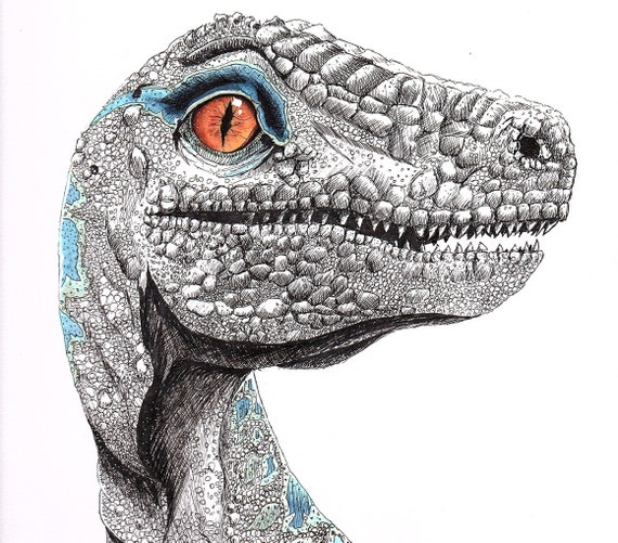 Blue The Velociraptor Print From Jurassic World Fallen Kingdom Etsy