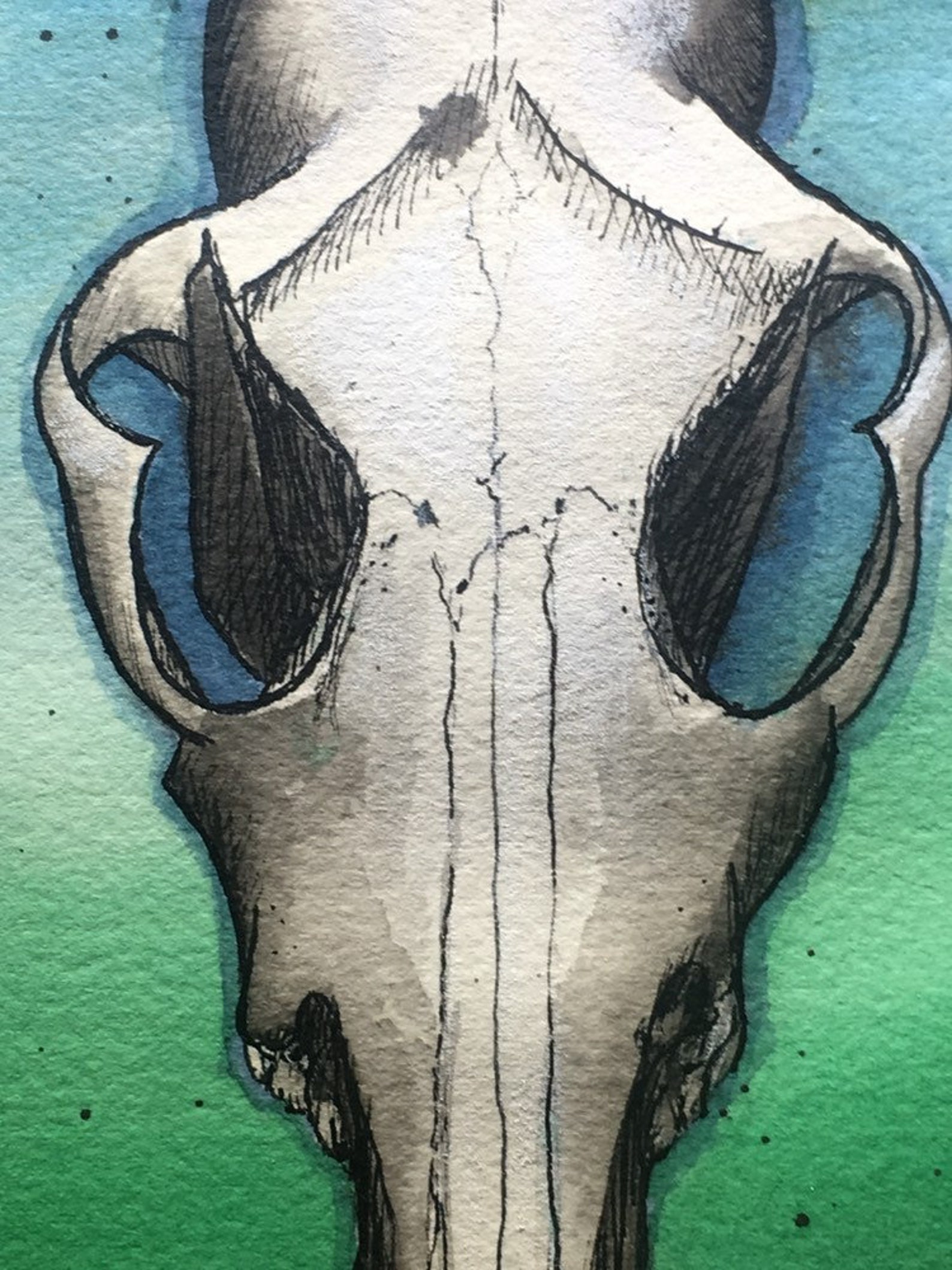 Coyote Skull painting wall art office decor animal skull | Etsy